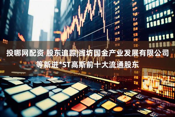 投哪网配资 股东追踪|潍坊国金产业发展有限公司等新进*ST高斯前十大流通股东