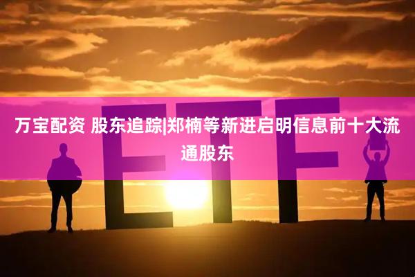 万宝配资 股东追踪|郑楠等新进启明信息前十大流通股东