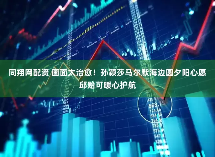 同翔网配资 画面太治愈！孙颖莎马尔默海边圆夕阳心愿邱贻可暖心护航