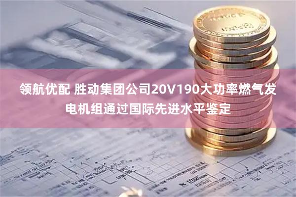 领航优配 胜动集团公司20V190大功率燃气发电机组通过国际先进水平鉴定