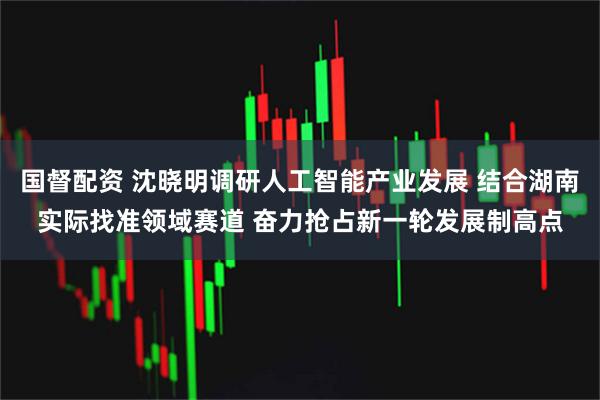 国督配资 沈晓明调研人工智能产业发展 结合湖南实际找准领域赛道 奋力抢占新一轮发展制高点