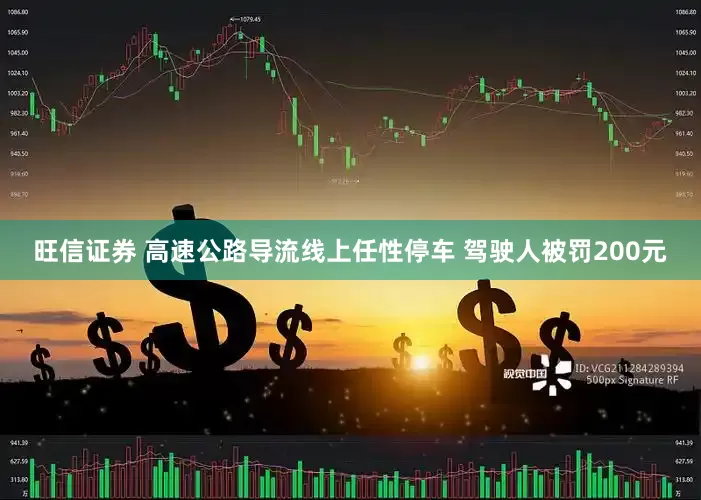 旺信证券 高速公路导流线上任性停车 驾驶人被罚200元