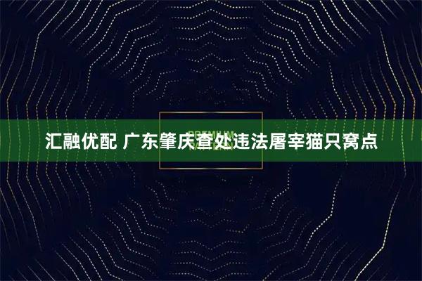 汇融优配 广东肇庆查处违法屠宰猫只窝点