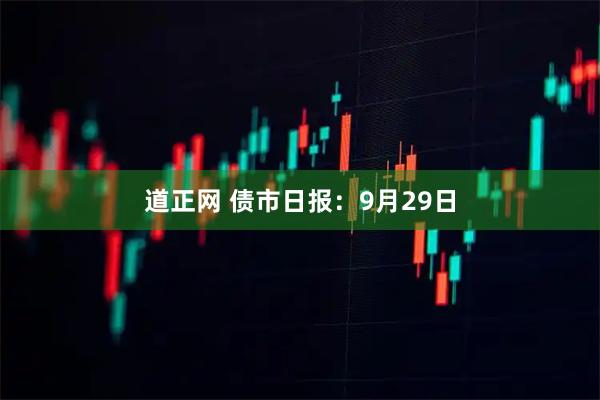道正网 债市日报：9月29日