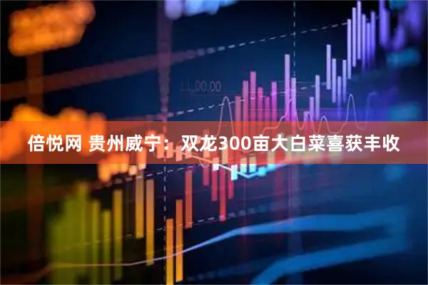 倍悦网 贵州威宁：双龙300亩大白菜喜获丰收